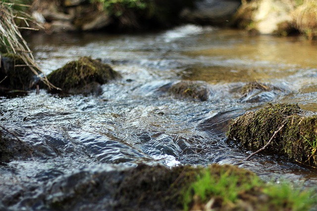 water1 agua
